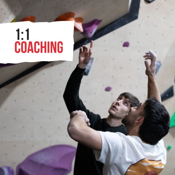 1 on 1 adult coaching