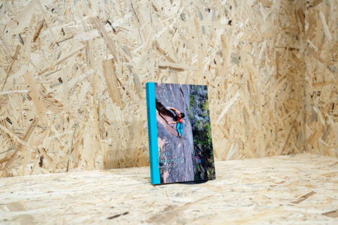 North Somerset Outcrops: Vol 1