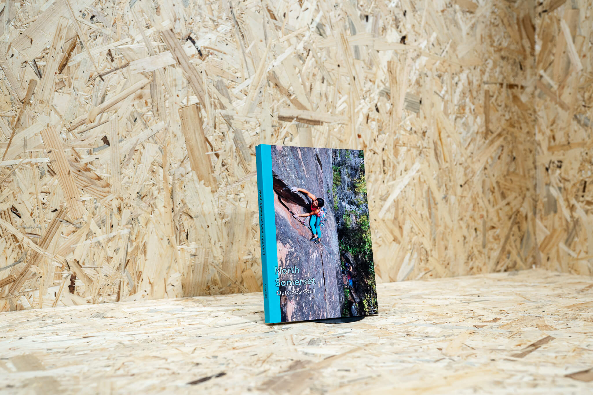 North Somerset Outcrops: Vol 1