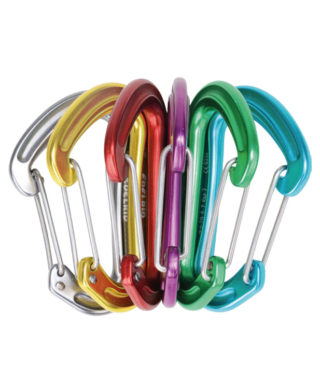 Edelrid Nineteen G II Carabiner