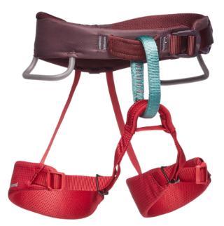 Black Diamond - Momentum kids harness - Wild Rose